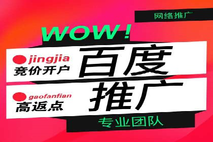 成功SEM专员案例分析